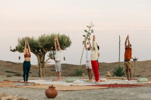 yoga-bei-jungfrauen-retreats